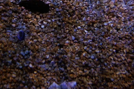 Pebble Texture