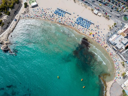 Aerial View of a Beach