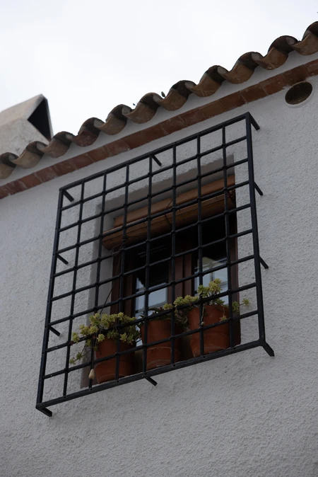 Charming Window with Potted Plants