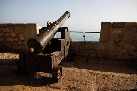 Historic Cannon by the Sea