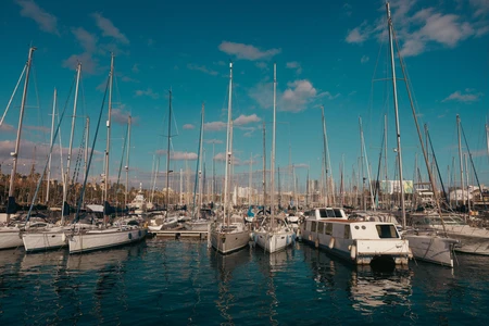 Serene Marina View
