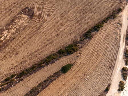 Aerial View of Farmland