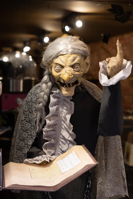 Witch Figurine Display