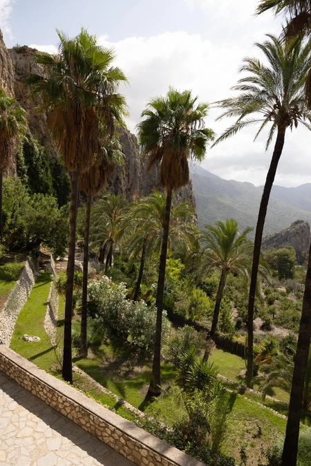 Serene Mountain Oasis