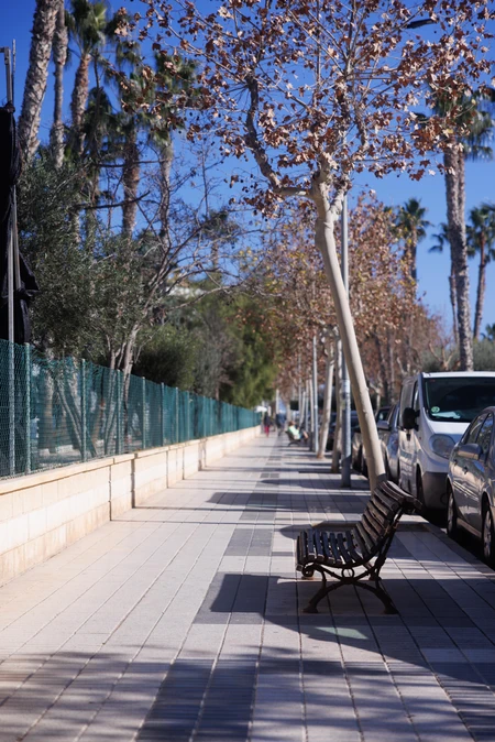 Sunny Urban Pathway