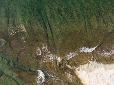 Coastal Aerial View