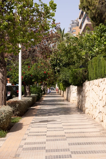 Sunny Pedestrian Path