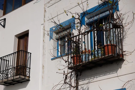 Charming Balcony with Vines