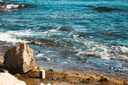 Coastal Fishing Scene
