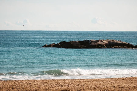 Serene Beach View