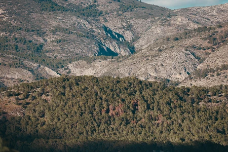 Mountain Landscape
