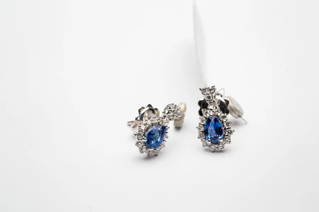 Elegant Blue Earrings