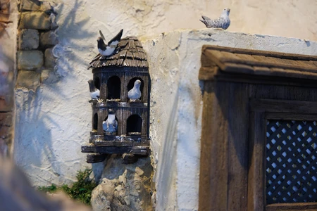 Rustic Birdhouse and Pigeons