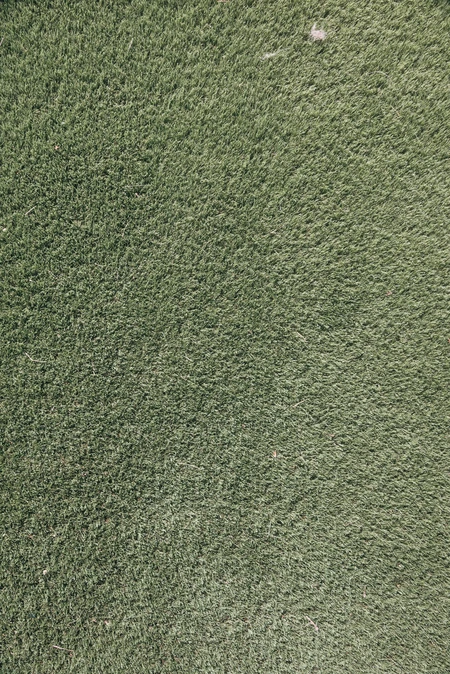 Textured Green Surface