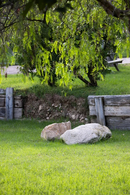 Peaceful Park Setting
