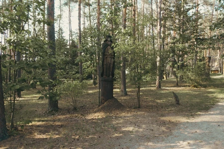 Forest Statue Scene