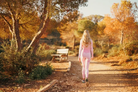 Autumn Walk