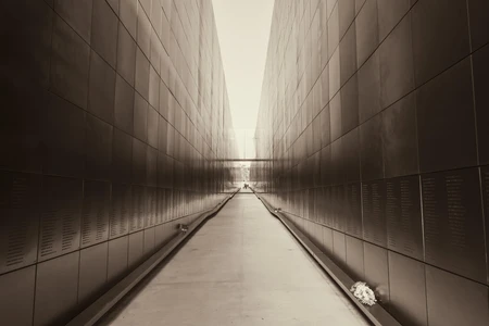 Symmetrical Architectural Pathway