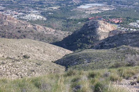 Scenic Hillside Vista