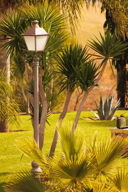 Tranquil Garden Scene