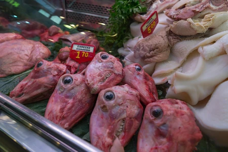 Fish Heads on Display