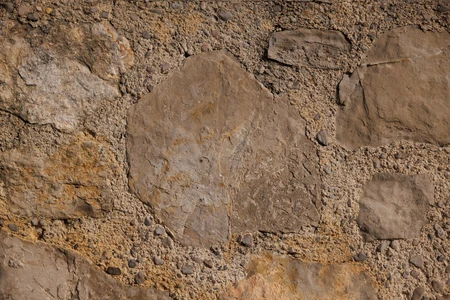 Rugged Stone Texture
