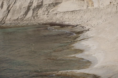 Rocky Coastline