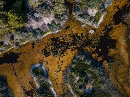 Aerial View of Wetlands