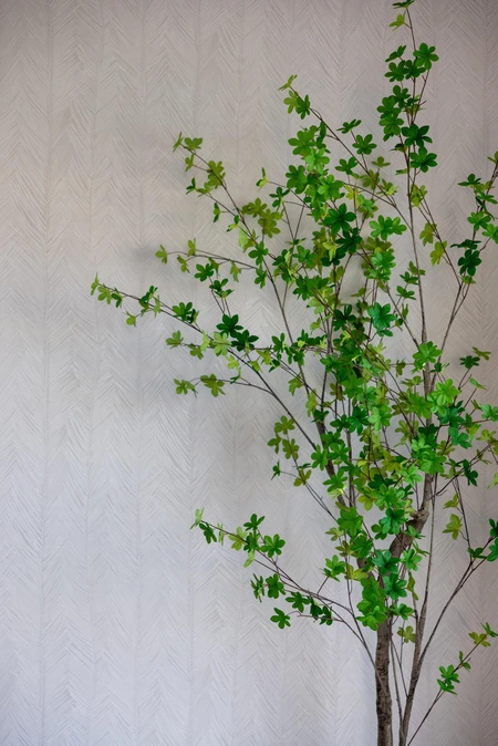 Indoor Greenery