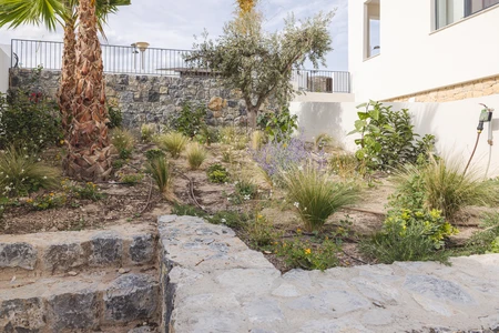 Modern Garden Landscape