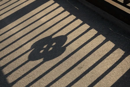 Shadow Play on Sidewalk