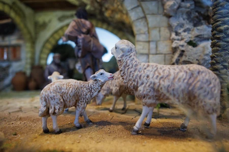 Diorama of Sheep