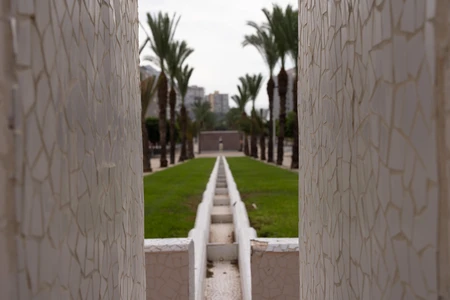 Palm Avenue View