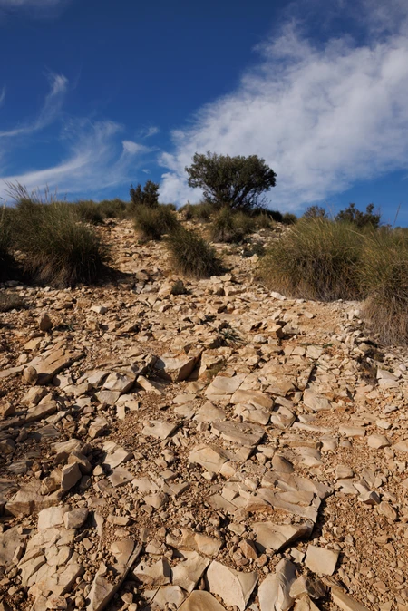 Rocky Landscape Under Blue Skies