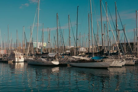 Serene Marina Scene