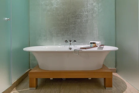 Luxurious Bathtub Setup