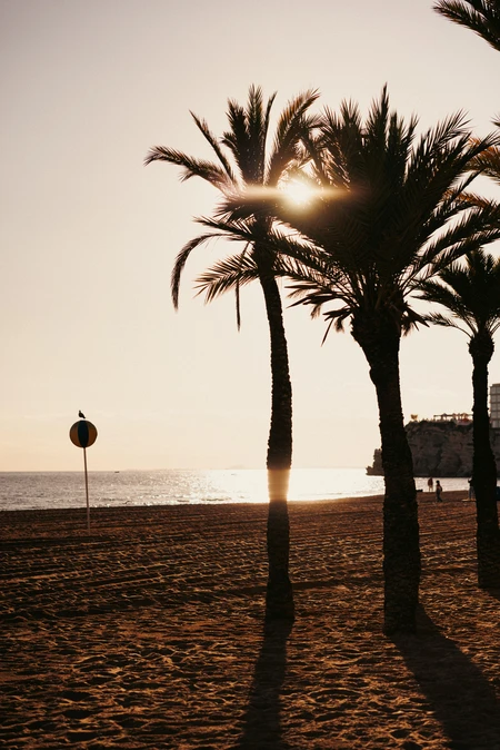 Sunset Beach Scene