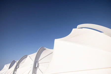 Abstract Canopy Structures
