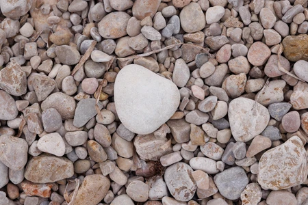 Heart-Shaped Stone Among Pebbles