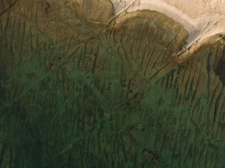 Aerial View of Sand and Sea