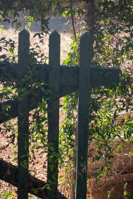 Rustic Garden Gate