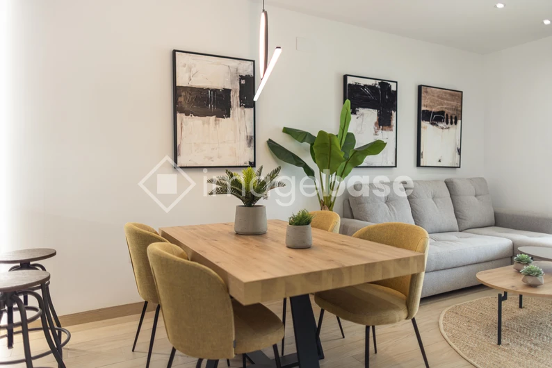 Modern Living Room Interior