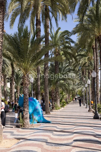 Palm Tree Promenade