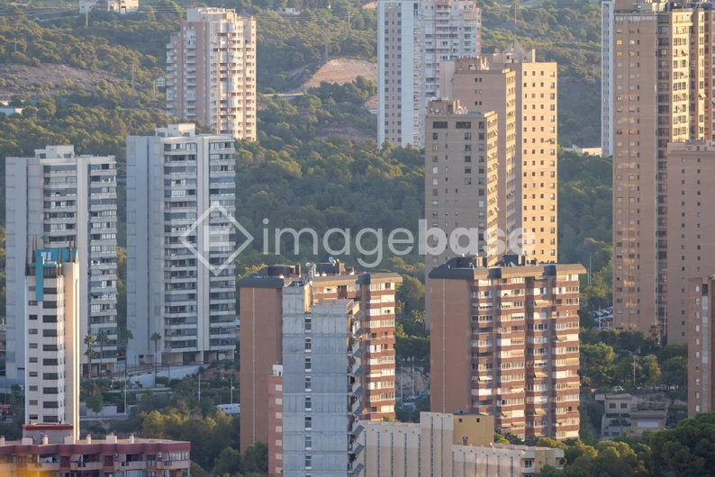 Urban Skyline with Forest Background