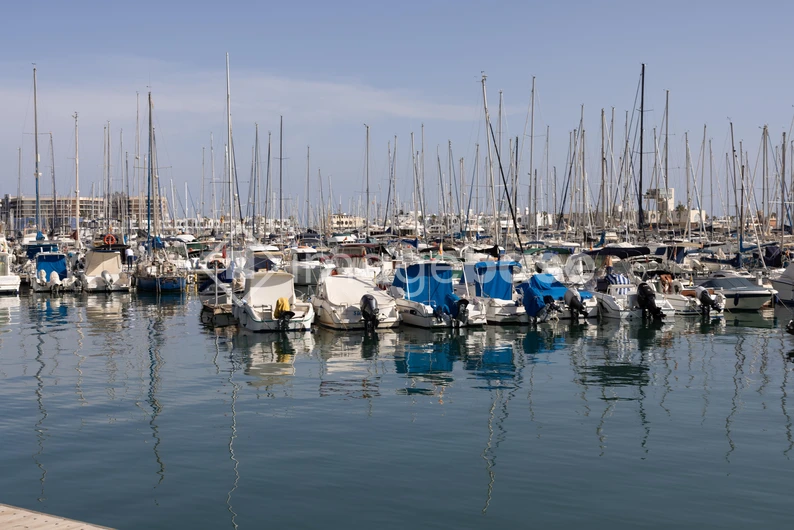Serene Marina with Boats