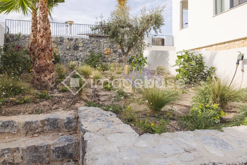 Mediterranean Garden Scene