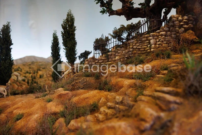 Rustic Pathway in Scenic Countryside