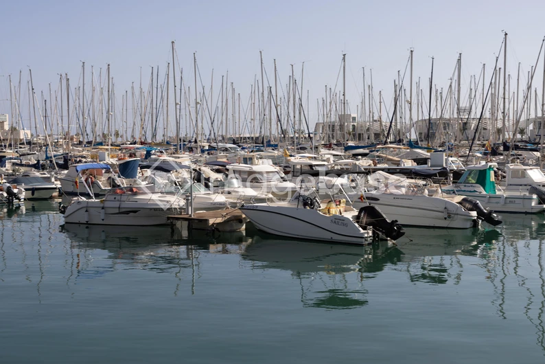 Serene Marina with Moored Boats