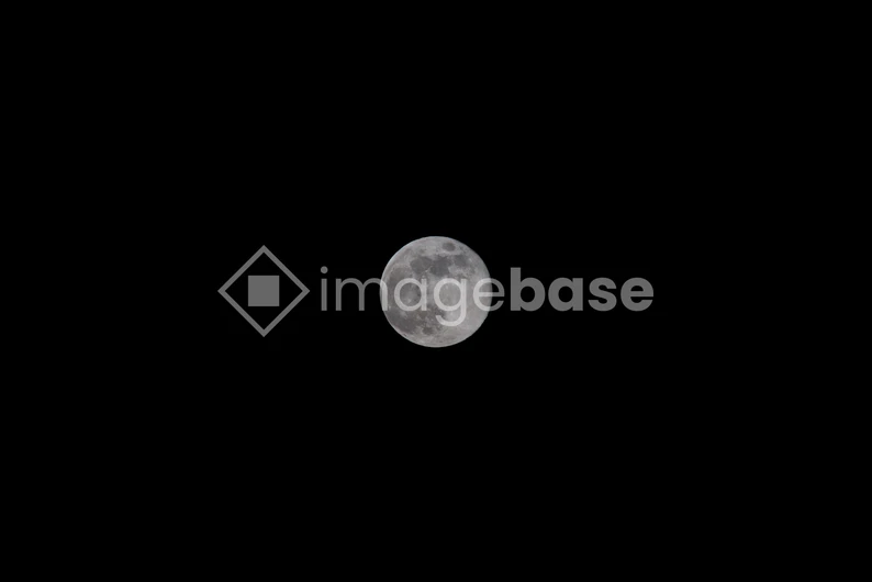 Full Moon in the Night Sky