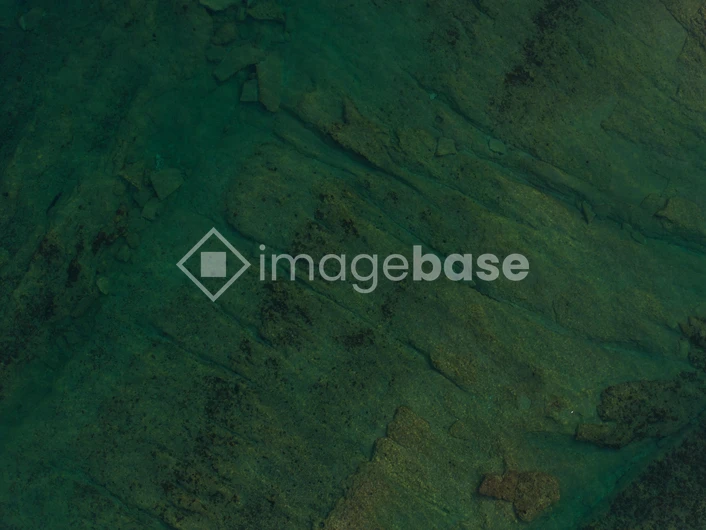 Abstract Green Texture